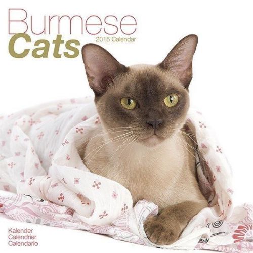 NEW 2015 Burmese Cats Wall Calendar by Avonside- Free Priority Shipping!