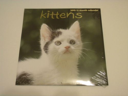 2015 Kittens Calendar