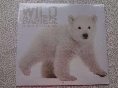 2015 Animal Babies 16 Month Wild Babies Calendar Panda, Polar Bear, Tiger, Koala