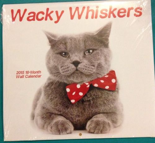 2015 Calendar Cats &amp; Dogs Wacky Wiskers 16 Month (SEALED) With Note Area. 2016 .