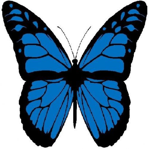 30 Custom Blue Monarch Butterfly Personalized Address Labels