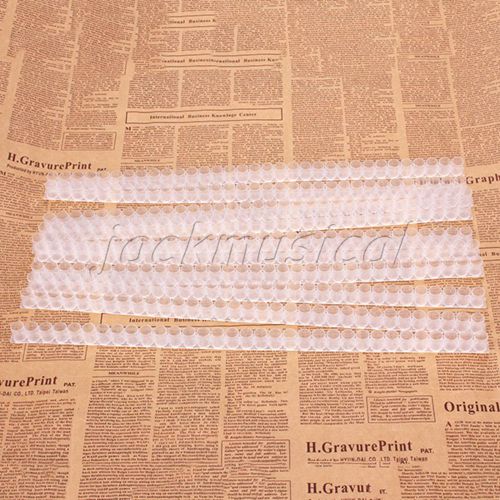 10 PCS Base Bar Strip Queen Bee Cell With Queen Cell Cups For Beekeeping