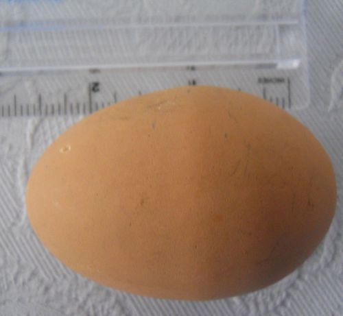 Nest eggs ceramic to encourage hens to lay