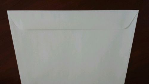 Great price!! 100 9x12 white envelope mailing envelopes for sale