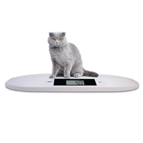 Digital Cat Scale Weigh in lb kg Pet Dog Puppy Portable Weight New Born Animal