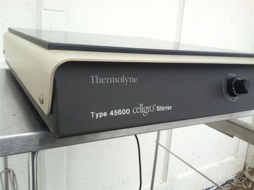 Thermolyne type 45600 cellgro stirrer model s45625 volts 120 for sale