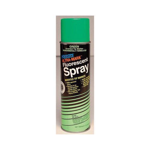 Spray Paint, Green, 15 min., 20 oz. SP20G