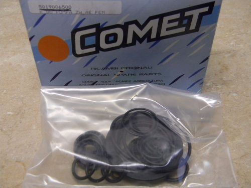 Comet 5019006500 Oil Seal Kit ZWD Hollow Shaft Pumps