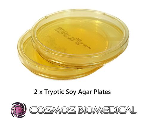Tryptic Soy Agar Plates x 2 - Ready made Agar Plates in Petri Dishes