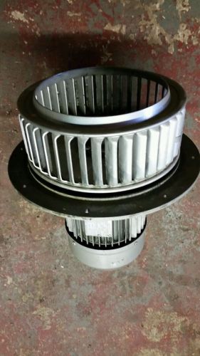 Dry cleaning machine fan motor