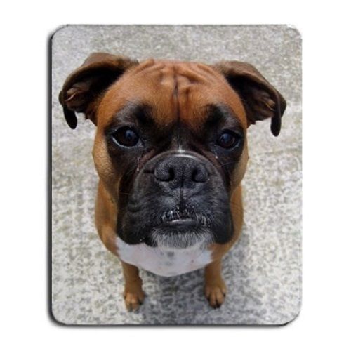 Cute Fawn Boxer Puppy Puppies Dogs Pets Animal Large Mousepad Mouse Pad