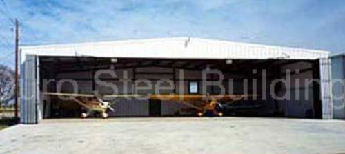 DuroSTEEL 49&#039; W x 14&#039; T Metal Wind Rated Insulated Airplane Stack Door DiRECT