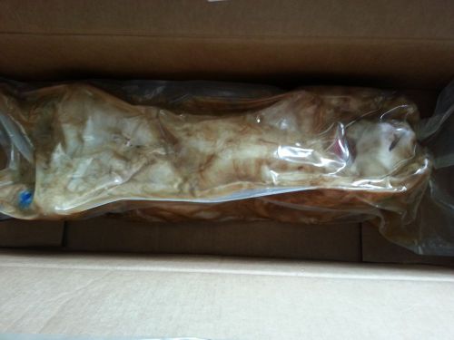 Ward&#039;s Science Formalin Preserved Cat Male 14&#034;-18&#034; Double Injected