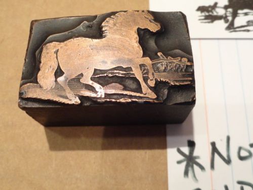 Vintage Rare Letterpress Printing Wild Stallion Horse Ornament/Block