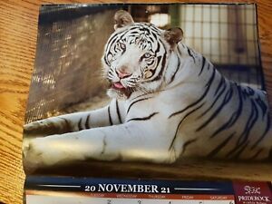 Tiger Lion Priderock Wildlife Refuge 2021 Calendar 7-Month July 2021–Jan 2022