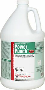 Power Punch Gallon Energy Appetite Cattle