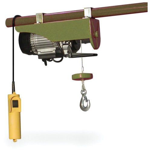 Buffalo outdoor 440 lb electric hoist for sale