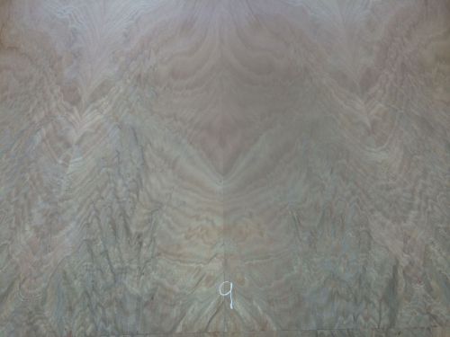 Wood veneer crotch okoume 48x41 1pcs total 20mil paper backed &#034;exotic&#034; crlm9 for sale