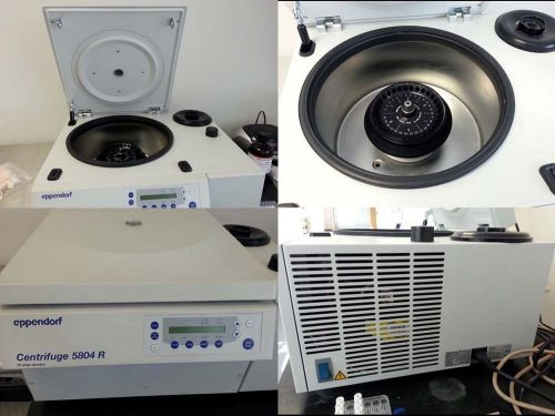 Eppendorf 5804 refrigerated centrifuge  w/ rotor for sale