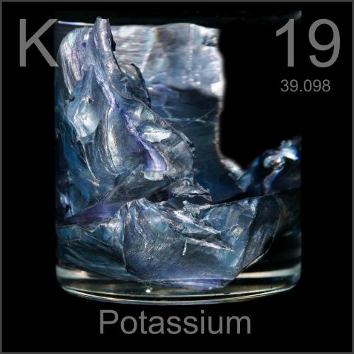 Potassium Metal, 99+% , 1 gram
