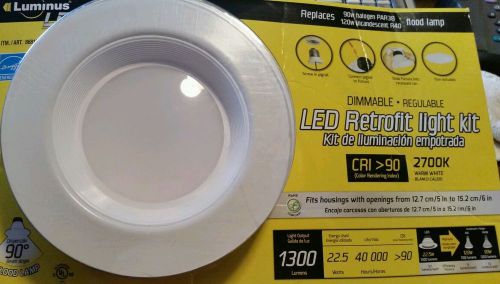 Luminus LED Retrofit Light Kit 1300 lumens 22.5 watts 40 000 hours CRI &gt; 90