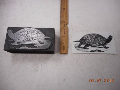 Letterpress Printing Printers Block, Turtle with Detailed Shell