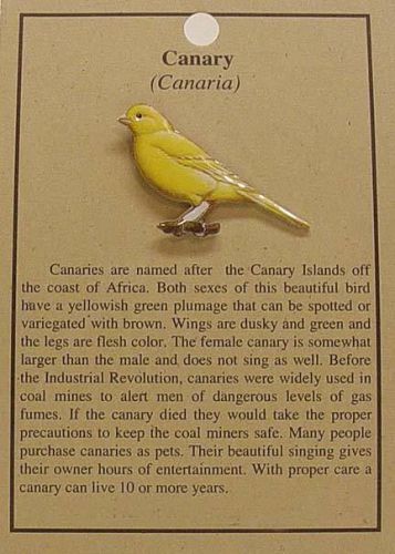 CANARY BIRD HAT PIN LAPEL PINS FREE U.S. SHIPPING
