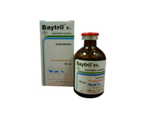 Baytril 5% Enrofloxacin 50ml Cats,Dogs