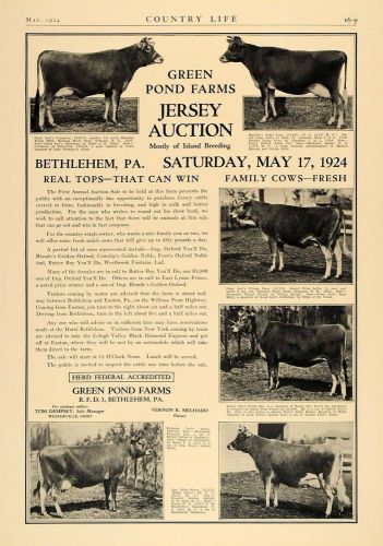 1924 ad green pond farm herd federal jersey cow auction - original cl4 for sale