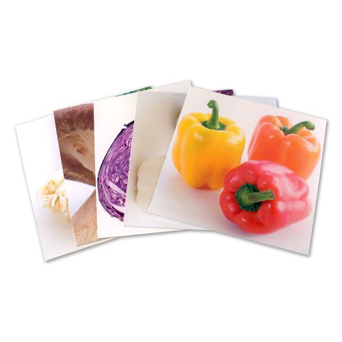 Set of 12” Vegetables Display Cube Frame Panel Picture Inserts Decoration 95648