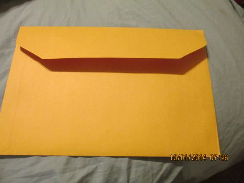 10&#034; x 15&#034;  open side ,ungummed  document envelopes quantity 10  free shipping for sale