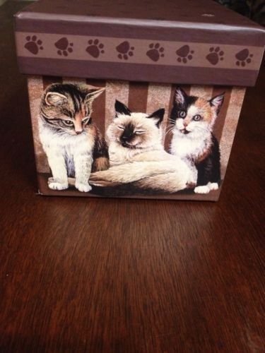 Kitten Cardboard Box.  Free Shipping, Great For Gifts. MAKE OFFER!