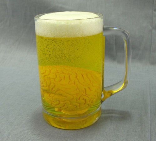 Brain in Beer Educational Display Health Alcoholism Plastic Cup Replica