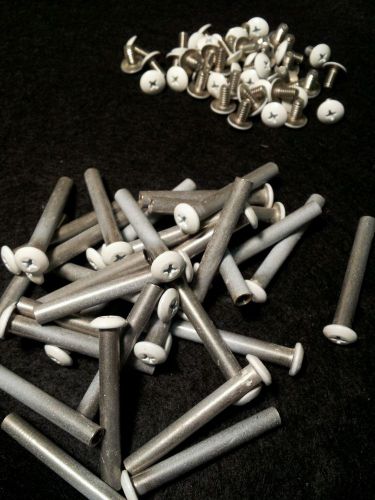 SEX BOLTS (100 EA) 1/4&#034;DIA X 1.90&#034; 18-8 STAINLESS PAINTED WHITE HDS W/SCREWS