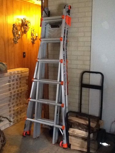 Little giant extreme ladder system for sale