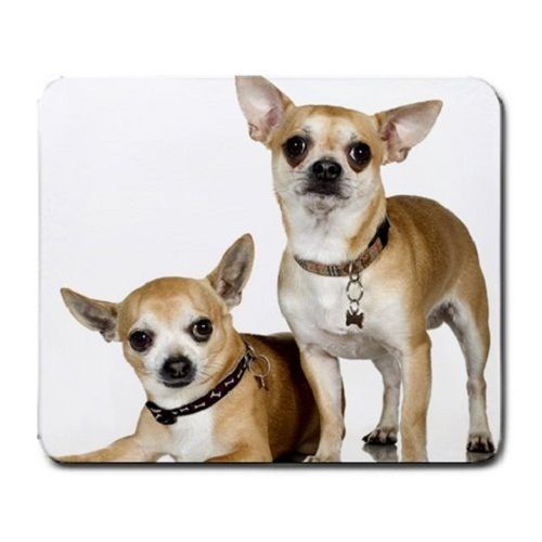 Cute Chihuahua Puppy Puppies Dogs Pets Animal Large Mousepad Mouse Pad