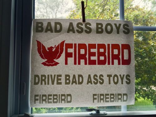 Vintage Bad Ass Boys Drive Bad Ass Toys Pontiac Firebird Iron On Transfer  