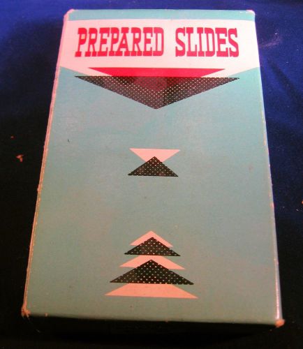 Vintage Prepared Animals Slide Set Glass Slides - Set of 12 Japan Dual Label 60s