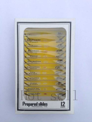 12pcs Yellow Flowers Plastic Prepared Microscope Slides Biological Specimen