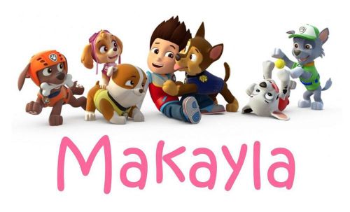 Paw Patrol w/ Name in Pink For Girl  DIY DIGITAL DELIVERY Iron On Transfer Image