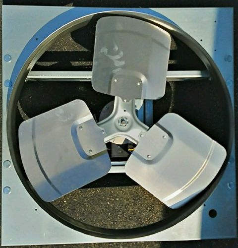 Commercial Direct Drive Exhaust Fan, Dayton, 10D979