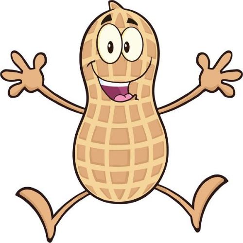 30 Custom Cartoon Happy Peanut Personalized Address Labels