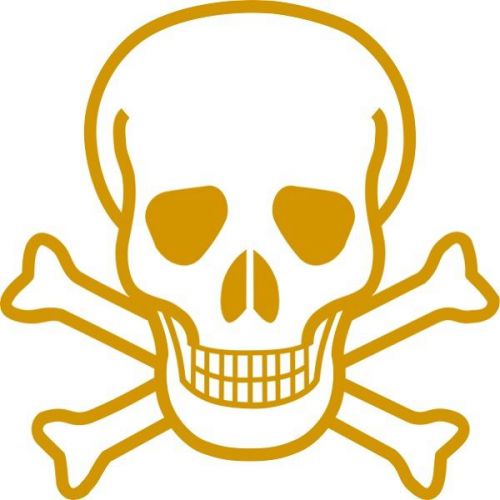 30 Custom Gold Skull &amp; Crossbones Personalized Address Labels