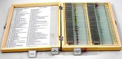 100 prepared microscope slides in deluxe wooden case for sale