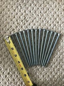 1/4”x5”long Bolt Carriage Zinc (13ct)