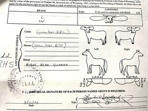 LIVESTOCK BRAND - Campbell Co. Wyoming - LW - Cow, Horse, Sheep -Historic w/iron