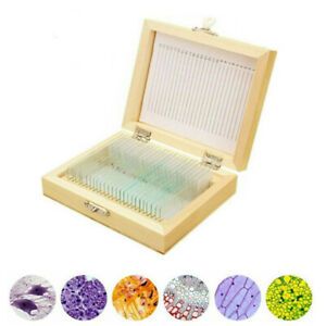 25 Slot Wood Slides Storage Case Wooden Microscope Slide Storage Box W/ Slides