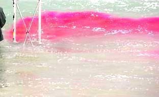 FLUORESCENT RED SEWER TRACING DYE