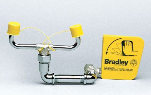 Bradley s19-240 laboratory eyewash for sale