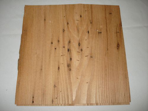 One real american wormy chestnut  wood  veneer 12&#039;&#039; x 12&#039;&#039; = 1/28 or .0357 in for sale